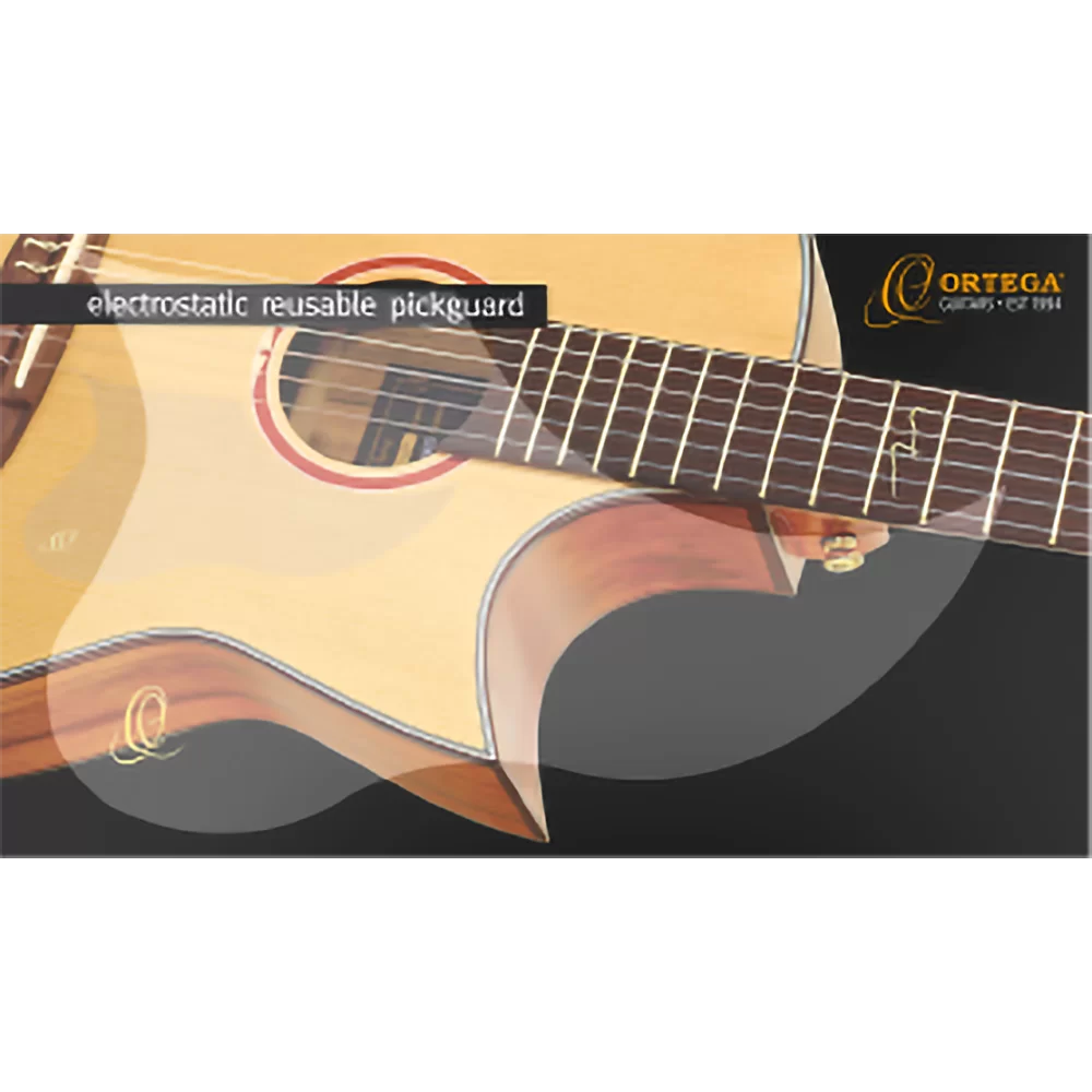 Ortega OERP Schlagschutz